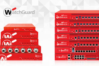 handle the setup of watchguard firewall, troubleshoot any issues, configure port