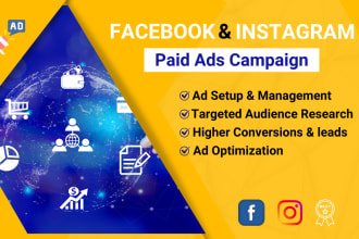 setup effective facebook ads campaign and instagram ads for leads and sales
