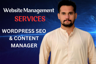 your wordpress website seo and content manager