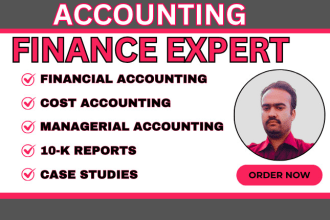 do accounting, ratios, and financial analysis in excel