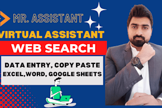 be personal virtual assistant data entry, copy paste