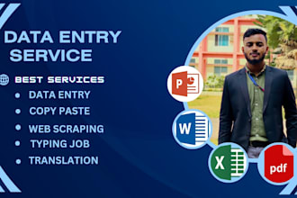 do absolute data entry, copy paste , typing job