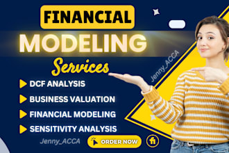 do financial modeling, discounted flow models and business or company valuation
