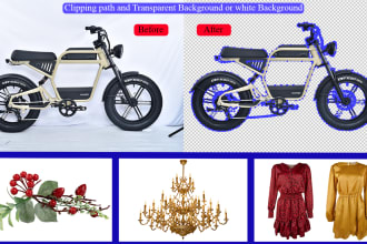 do clipping path , transparent , background removal or remove object