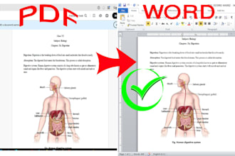 convert PDF to word google docs powerpoint and typing