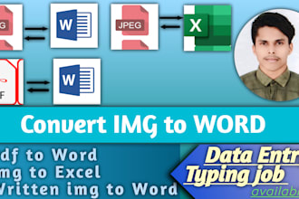 do data entry work, typing job, PDF to word or excel