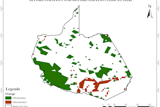 do professional gis mapping, cartography, and graphic design services