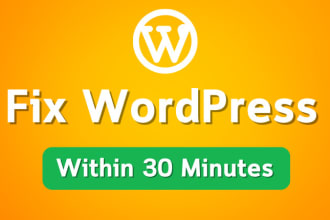 fix wordpress issues fast and fix wordpress critical error
