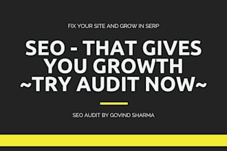 do SEO audit of your website
