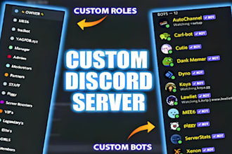 discord server setup devlopment professionally