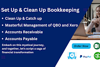 do setup, clean up and bookkeeping in quickbooks and xero