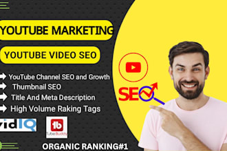 do best youtube video SEO expert, grow your channel top rank