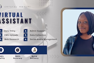 be your virtual assistant for data entry and web search