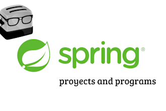 develop custom java spring web applications