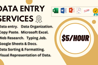 do professional data typing at low price