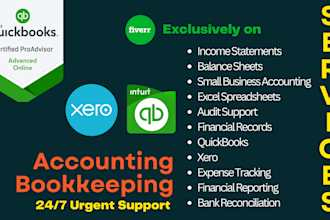 provide professional bookkeeping services