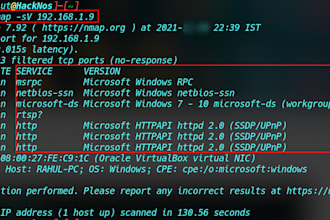 provide a vulnerability assessment activity and create a report for your domains