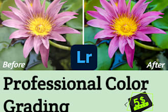 enhance your images, expert photo color grading
