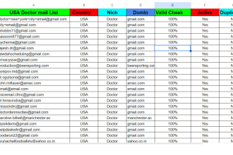 provide niche targeted and active verified email