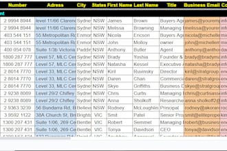 do excel data entry, cleaning, copy paste, remove duplicates, email finding