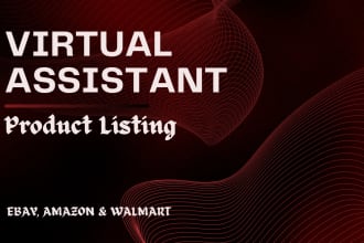 be your expert virtual assistant for walmart ebay and amazon