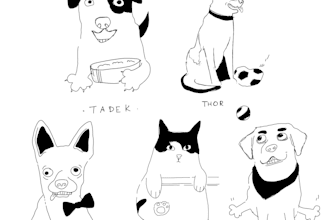 draw funny custom pet portrait in ink