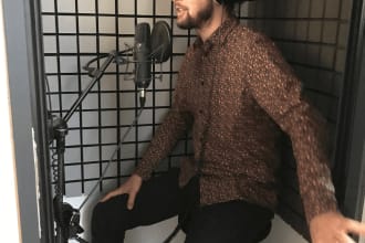do professional danish dubbing