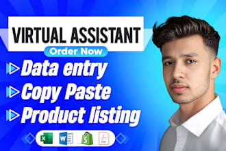 be personal virtual assistant for data entry, copy paste, product listing