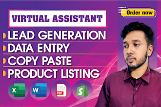 be your executive virtual assistant for copy paste,data entry, lead generation