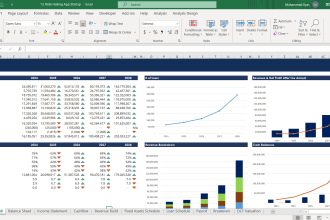 prepare investor ready financial model and forecasts