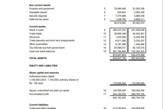 prepare balance sheet, income statement and cashflows