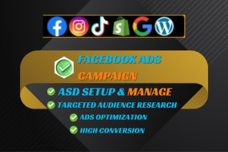 facebook ads running  for your business with premium mindset