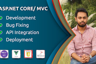 do asp dot net mvc, asp dot net core, web api, and vue js