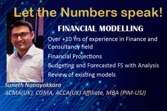 do business consultancy, budgets, analysis, excel sheets