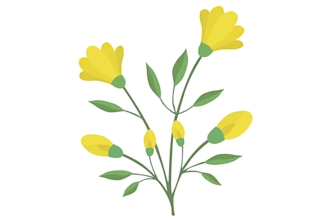 draw botanical flowers, fruits, plants, foods line art