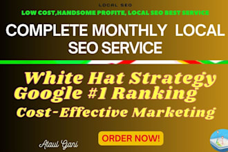 do monthly based local SEO gbp ranking with local contestant analyze