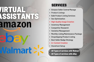 be your virtual assistant for amazon ebay walmart