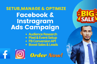 setup and manage quality meta, instagram and facebook ads for sales