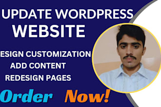 quickly edit wordpress website
