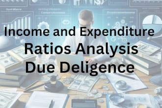 prepare income and expenditure, ratios analysis and due deligence report