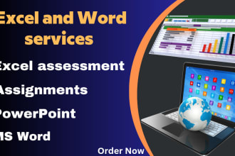 do urgent quality ms excel, formulas, assessment, word and powerpoint assignment