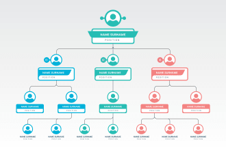design org chart, process flow, business chart and presentation