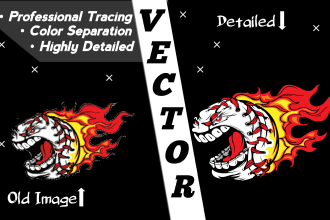 do vector tracing, and color separation for screen print