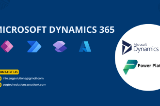 provide expert consultancy in microsoft dynamics 365 and powerapps development