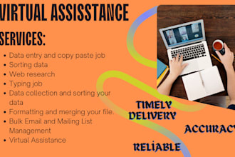 serve as your virtual assistant for data entry, copypaste, and web resesearch