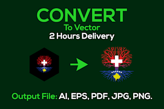 do manual vector tracing or convert to vector quickly