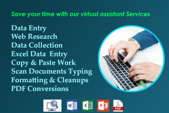 do data entry, web research, excel data entry, convert pdf