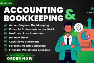 do accounting and bookkeeping,financial statements,profit and loss,balance sheet