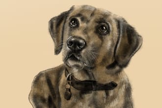 make a fantastic pet portrait