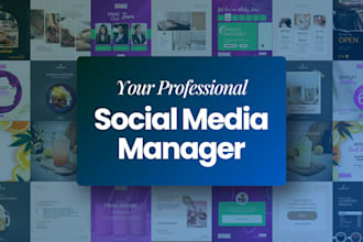 be your social media marketing manager and content creator